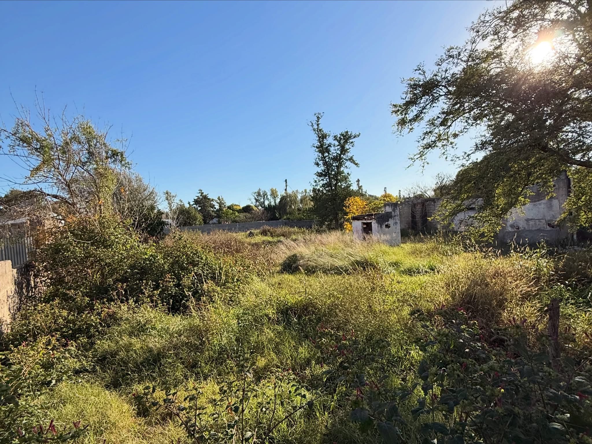 TERRENO miniatura 4